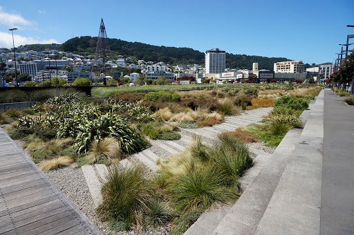 Waitangi Park Play Area - Thumbnail