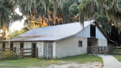 Photos of Paynes Prairie Preserve State Park