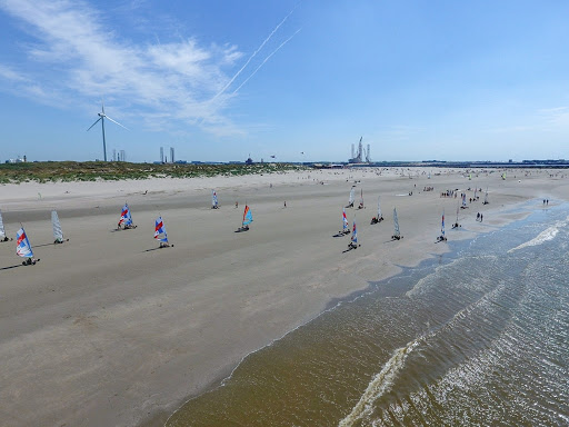 Noordpier Logo