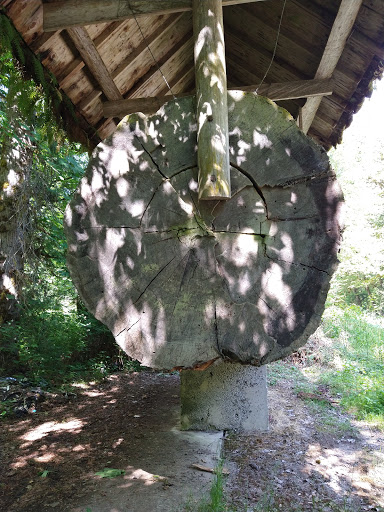 Larsen Log - Visual