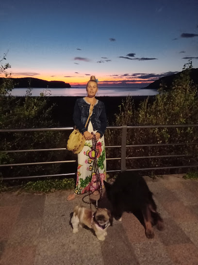 Pelucan Barakaldo - Peluquería canina y felina