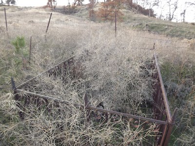 Henderson Pioneer Cemetery