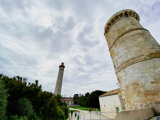 Photo de THALACAP Ile de Ré à Ars-en-Ré (17590)