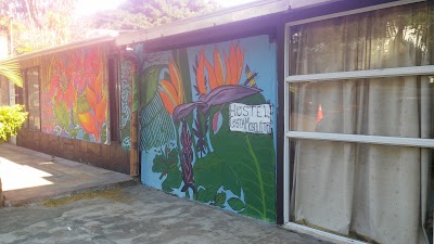 Photos of Hostel Costa Mosquito