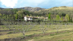 Casa Rural Lalisea