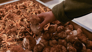 Photo n°14 de Le Cri Du Radis à Chamant (Cave à vins)
