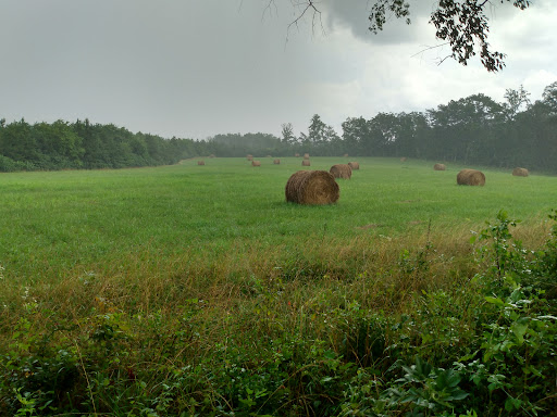 County Wide Park - Thumbnail