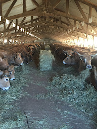 Photo n°30 de Aire de La Montagnette à Laguiole (Terrain pour camping-cars)