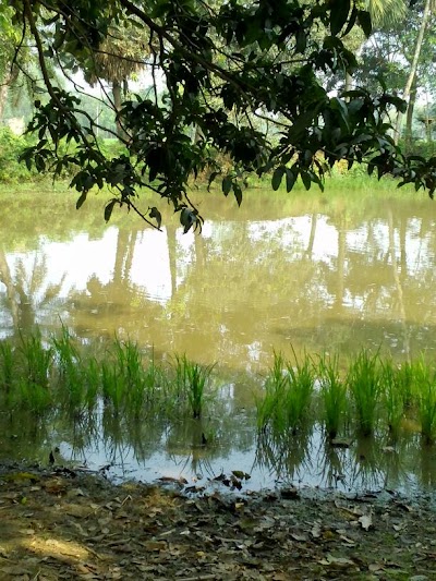 Photos of Bakshi Bazar Elahi Masjid বকশিবাজার এলাহী মসজিদ