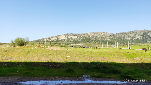 Arroyo de San Serván