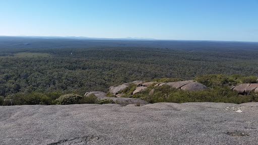 Mount Lindesay National Park Logo