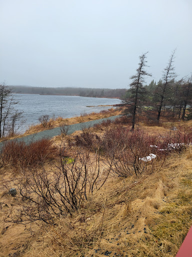 Town Of Witless Bay