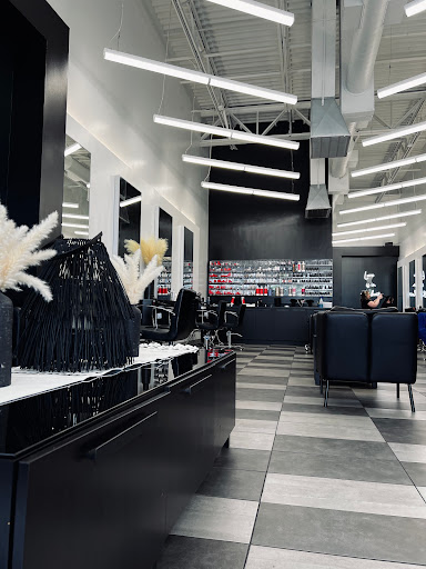 DBSALON - Visual