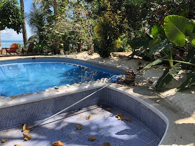 Photos of Howler Monkey Hotel