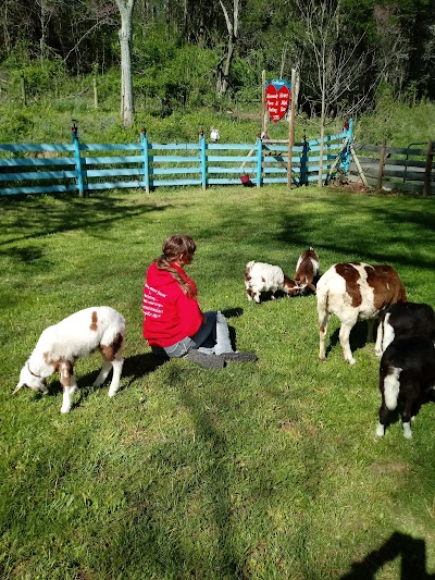 Heavenly Heart Farm & Mini Petting Zoo