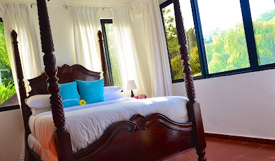 Photos of Villa Celeste Estate
