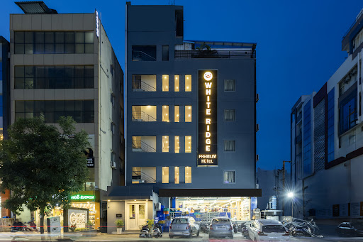 Gallery image 9