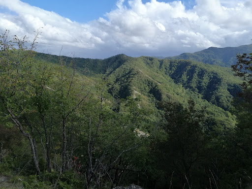 Foreste Casentinesi Vers Toscano - Thumbnail