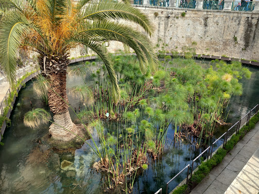 Arethusa Spring - Visual