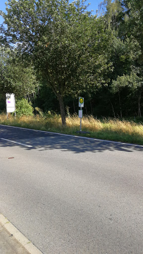 Meißen Siedlerstraße - Thumbnail