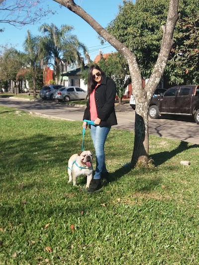 Photos of Veterinaria Felipe