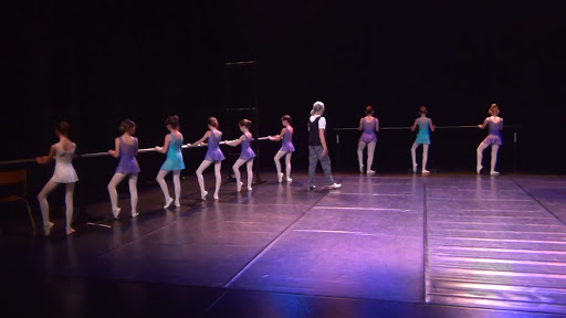 Barre Et Pointes Emmanuelle Tavard