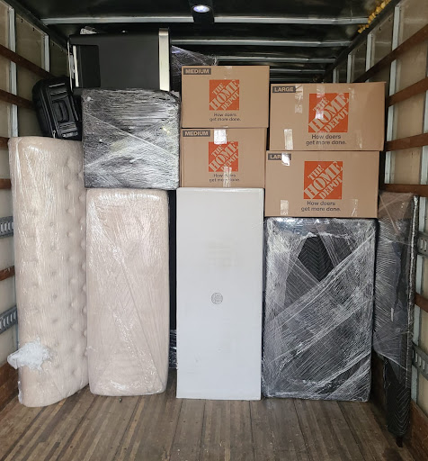 Tex-Ant Movers - Visual