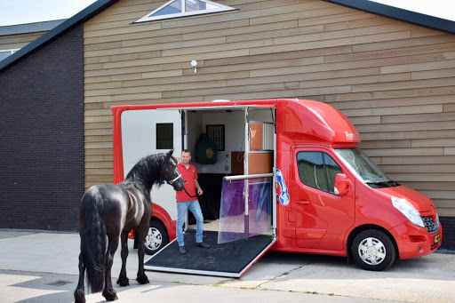 Horses2fly Gallery - Netherlands