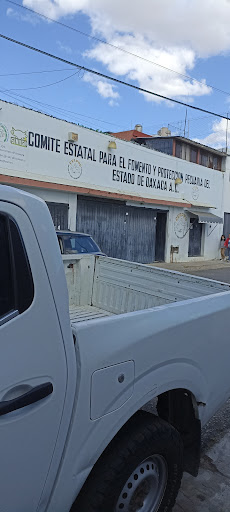 CEFPPO A.C. - Visual