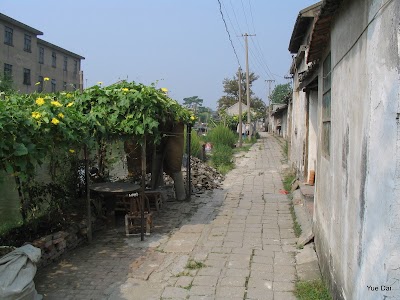 Photos of Wolong Bridge