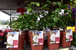 Photo n°7 de Bricomarché Tallard à Tallard (Magasin de poêles à bois)