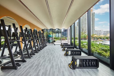 The Standard Gym photo 5