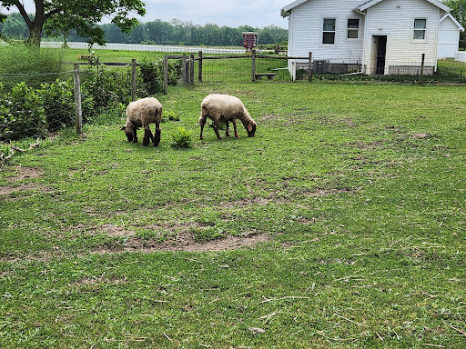 Museums At Prophetstown - Thumbnail