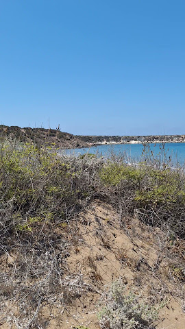 Lara Beach by null