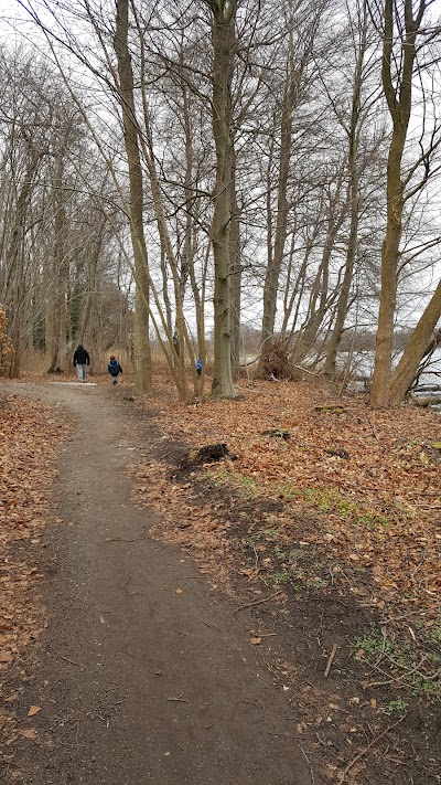 Photos of The Mountain Garden