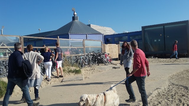 Parnassia aan Zee