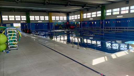 Colegio El Valle Sanchinarro Gallery - Spain