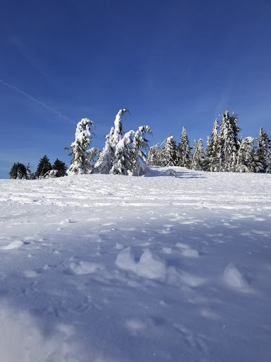 Crater Lake National Park Trust - Thumbnail