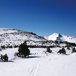 Photo n°8 de Perpignan Montagne Immobilier à Perpignan (Agence immobilière)