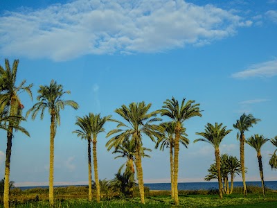 Photos of Wadi El Rayan