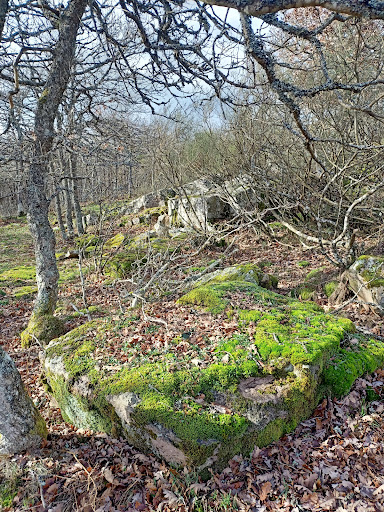 Monte Endino - Thumbnail