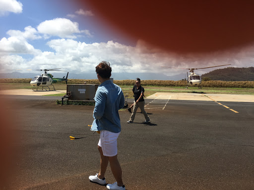 Safari Helicopter Landing - Thumbnail