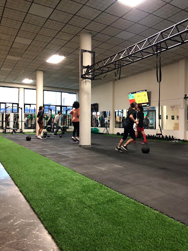 Skhole Fitness Logo
