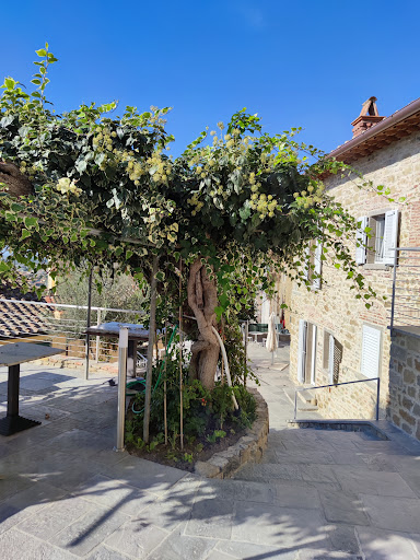 Suite San Michele