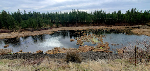Columbia Plateau Trail State Park - Amber Lake Trailhead