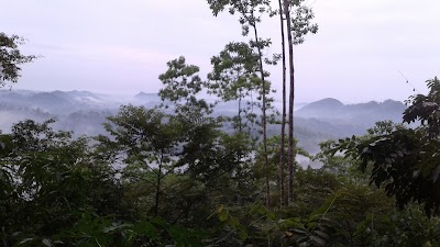 Photos of Nigroda lena Monastery නිග්&zwj;රොද ලෙන අරන්&zwj;යය