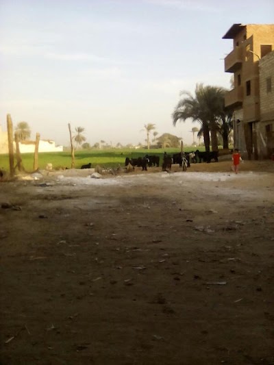 Photos of Supply Bureau - Qombsh El Hamraa