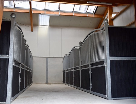 Horses2fly Gallery - Netherlands