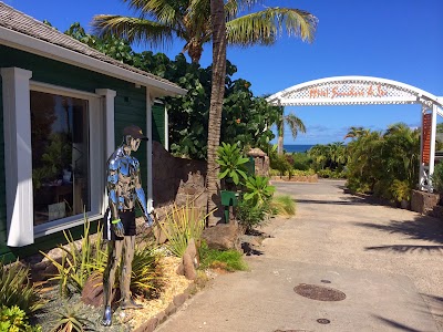 Photos of Pasha St Barth
