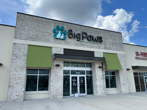 Big Paws Animal Hospital